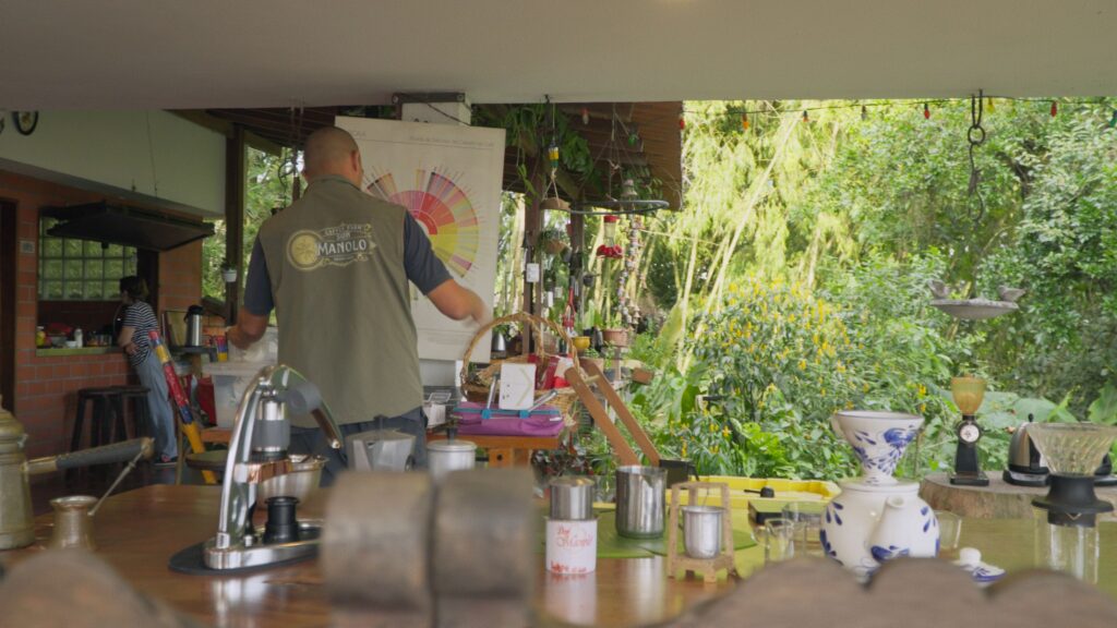 cata de cafe 2